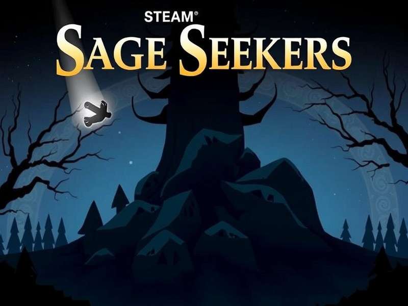 Steam Sage Seekers Game Cover